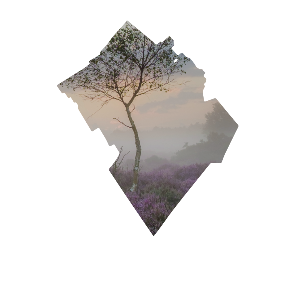 Fijn wonen in Oldebroek, een unieke ligging